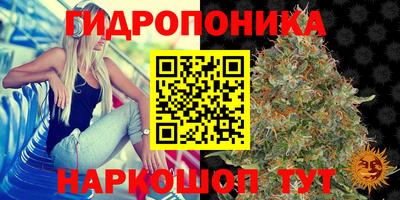 2c-b Лесосибирск