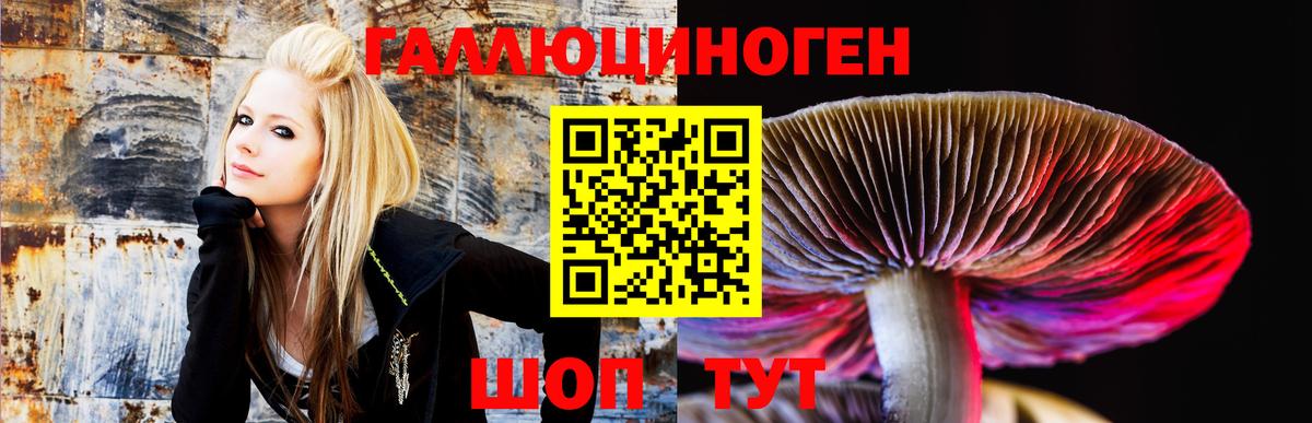Дзержинск  Псилоцибиновые грибы GOLDEN TEACHER  Вход с VPN  Галлюциногенные грибы мухоморы 