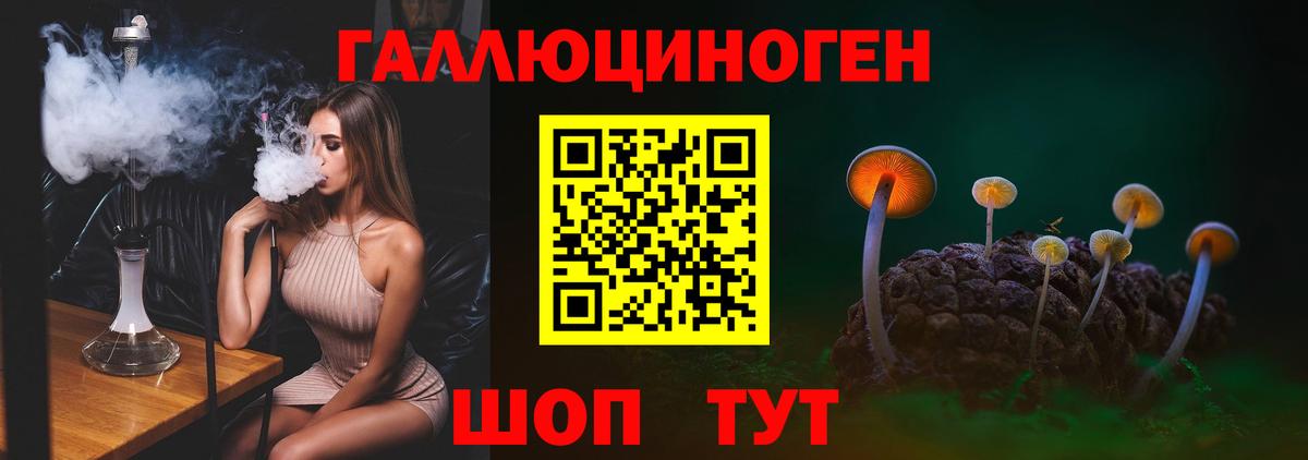 Псилоцибиновые грибы Cubensis Дзержинск