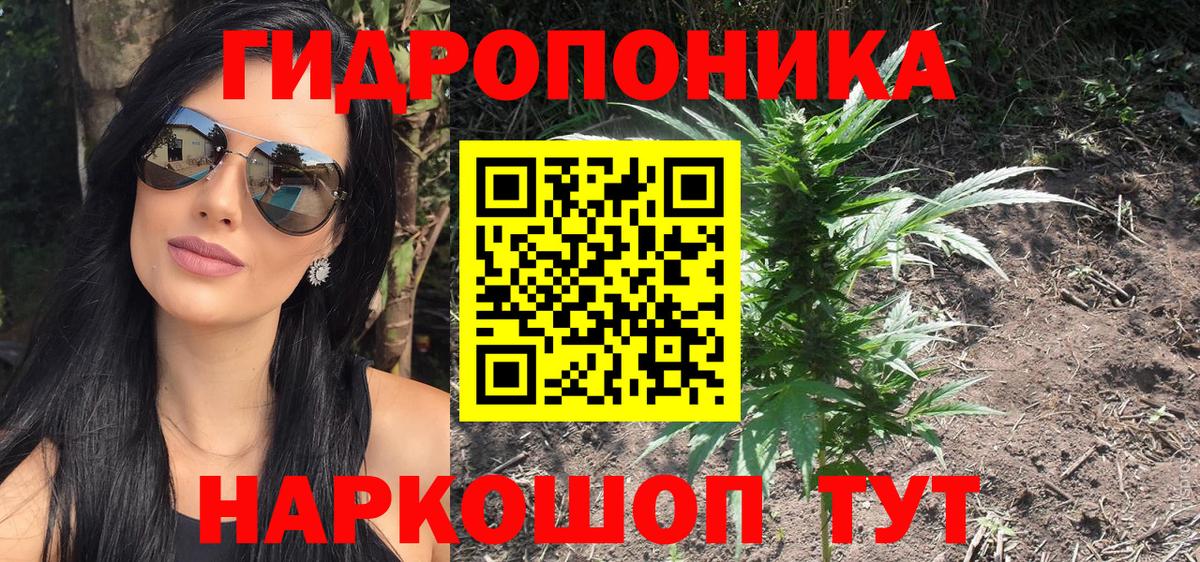 Бошки Шишки семена  Бошки марихуана Ganja  Бошки Шишки SATIVA & INDICA  Дзержинск  Вход с VPN 